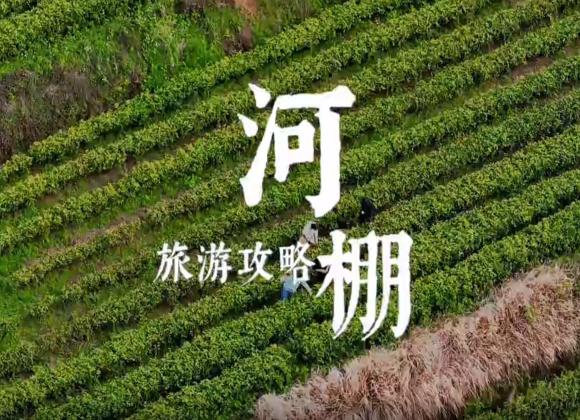 【游舒城】河棚鎮茶旅攻略 河棚鎮茶旅攻略來啦